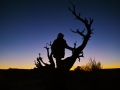 utah-canyonlands-sigma-web-9830