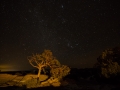 utah-canyonlands-web-0342