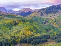 Changing aspen, Capitol Peak trail, Maroon Bells Snowmass Wilderness, CO