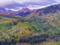 Changing aspen, Capitol Peak trail, Maroon Bells Snowmass Wilderness, CO