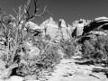 canyonlands-bw-0496