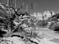 canyonlands-bw-0505