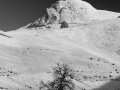 arch trail bw