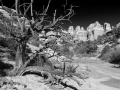 canyonlands bw-0505