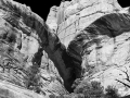 canyonlands bw-0516