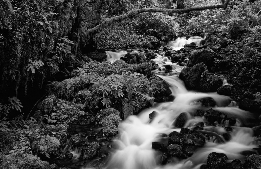 Wahkeena CVreek, Columbia River Gorge, waterfall