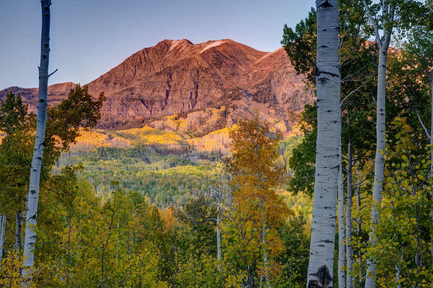 Fall Color Colorado 2021