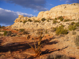 Arches and Capitol Reef