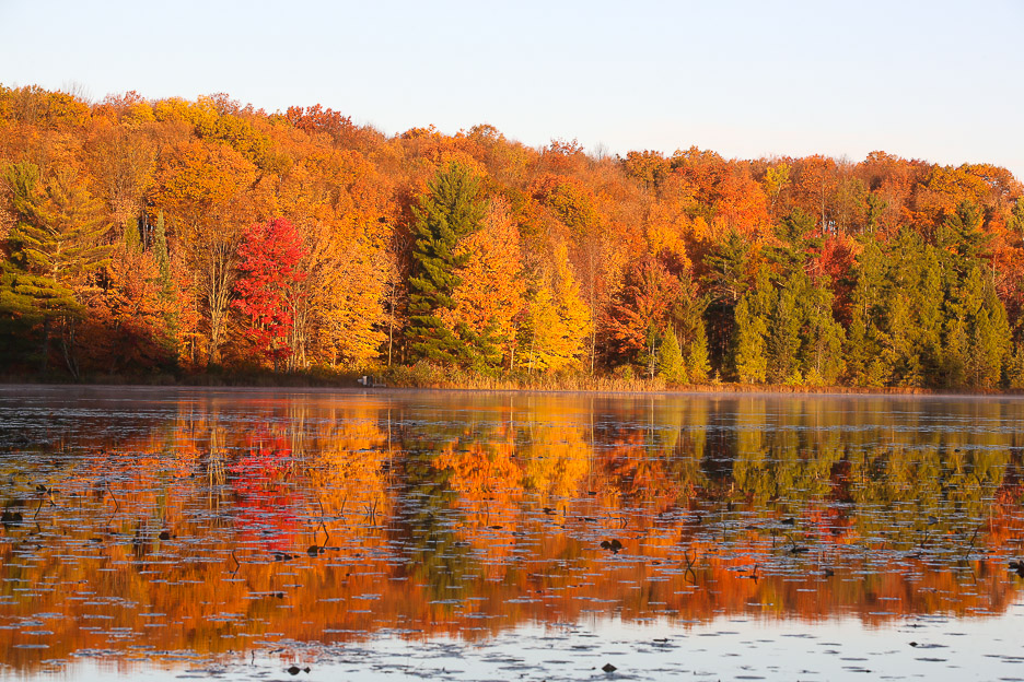 Upper Midwest Fall Color